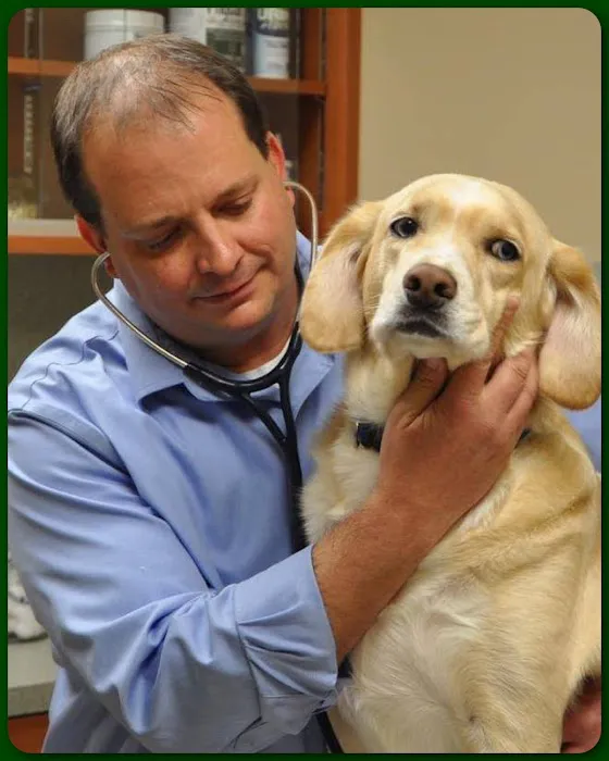 Oakside Animal Clinic 2