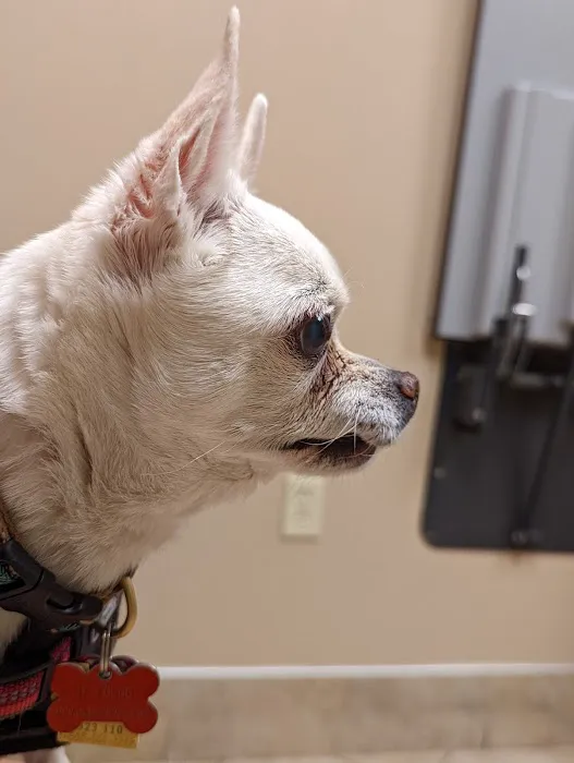 Oakside Animal Clinic 9