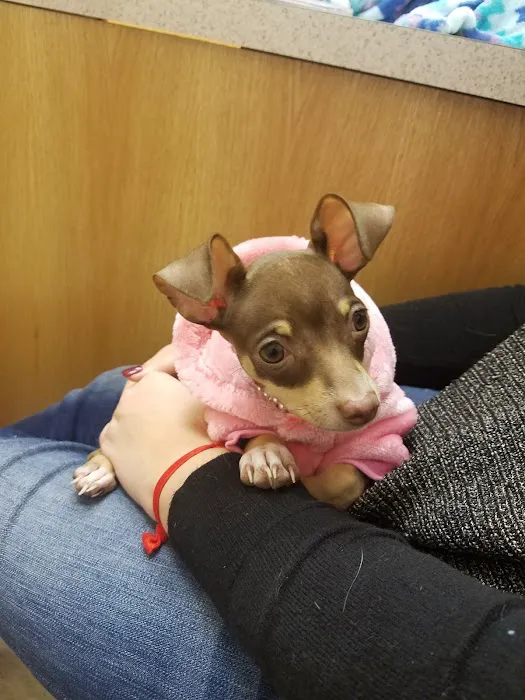Vetcare Animal Wellness of Delaware LLC 1