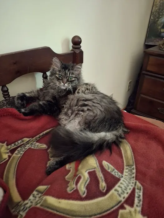 Vetcare Animal Wellness of Delaware LLC 6