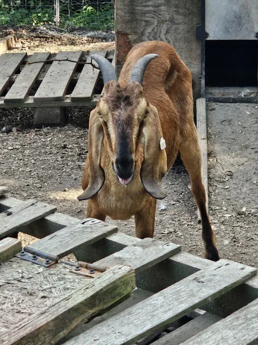 Amanda Animal Hospital, Inc. 9
