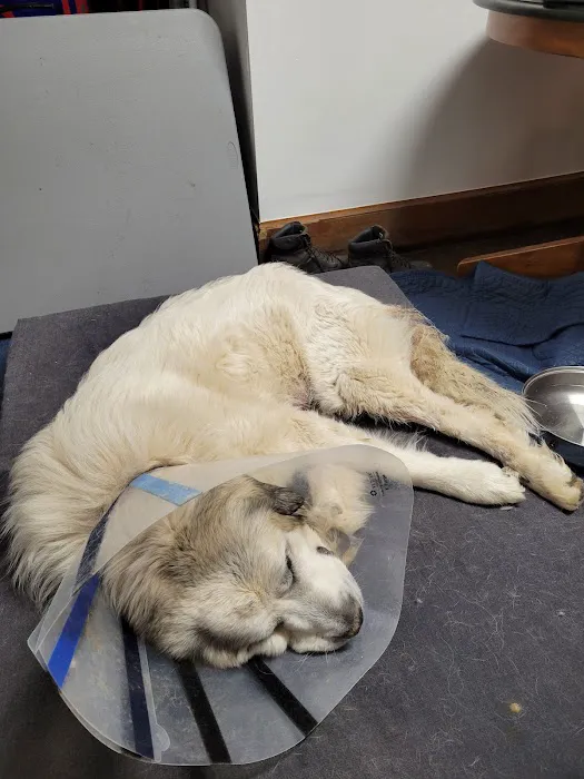 Amanda Animal Hospital, Inc. 7