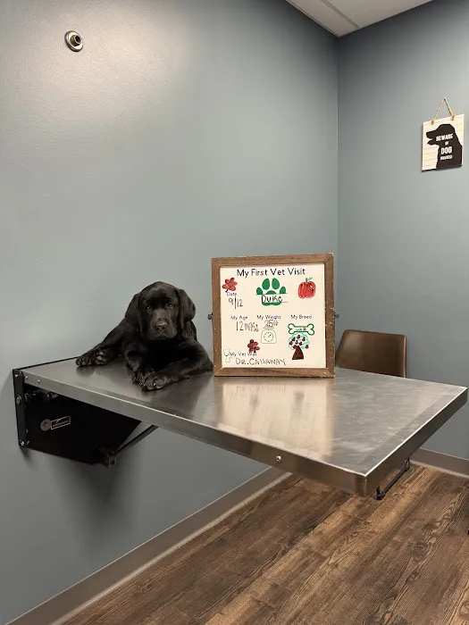Amanda Animal Hospital: Tanhoff Evelyn DVM 1