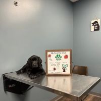 Amanda Animal Hospital: Tanhoff Evelyn DVM ico
