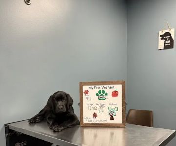 Amanda Animal Hospital: Tanhoff Evelyn DVM