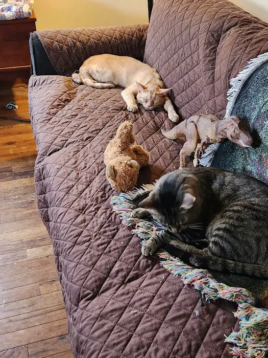 Baltimore Veterinary Clinic 5