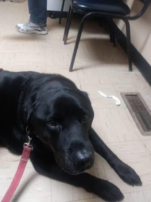 Baltimore Veterinary Clinic 8