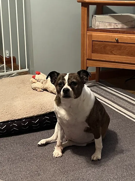 Feeder Creek Veterinary Services 7