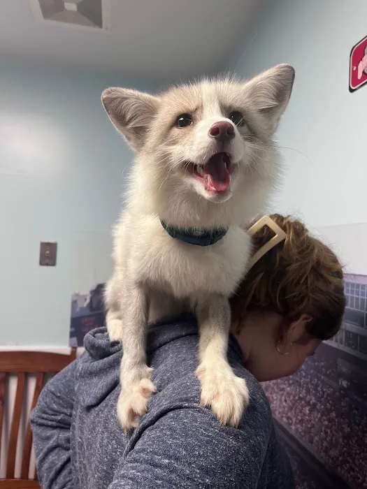 Feeder Creek Veterinary Services 10