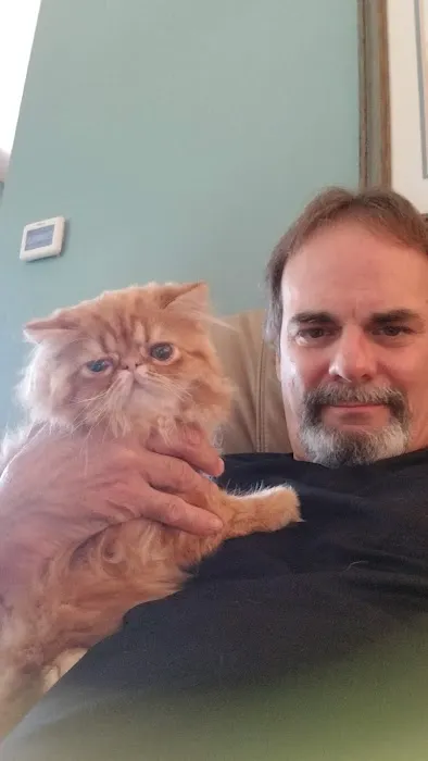 Pelaqita Persian Cats & Persian Kittens 5