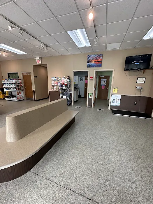 PetPlex Animal Hospital 3