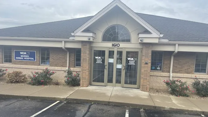 VCA Morris Animal Hospital 10
