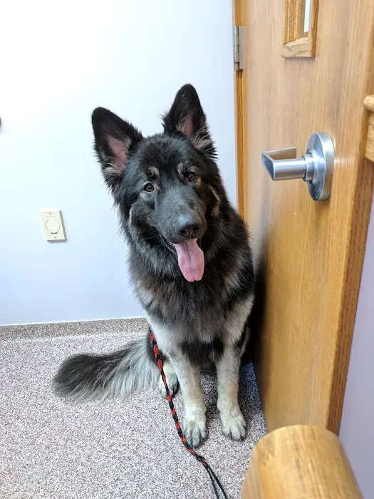 VCA Morris Animal Hospital 3