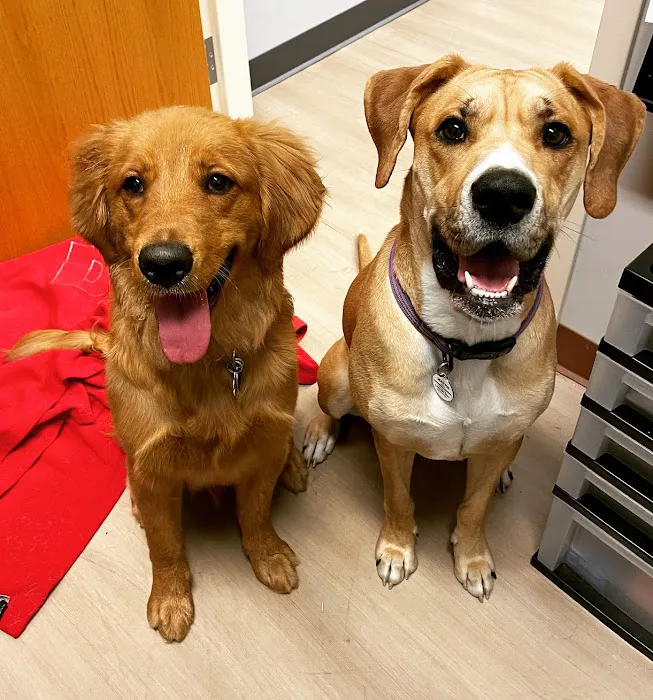 VCA Fairfield Animal Hospital 9