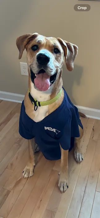 VCA Fairfield Animal Hospital 10