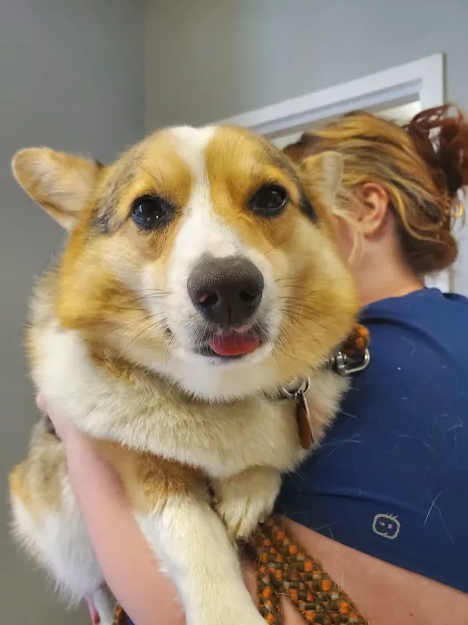 VCA Fairfield Animal Hospital 4