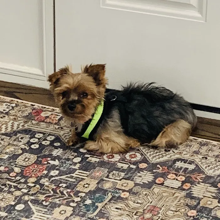 Village Veterinary Care of Granville 5