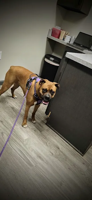 Village Veterinary Care of Granville 4