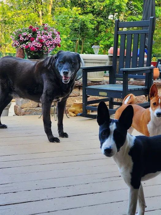 Village Veterinary Care of Granville 9