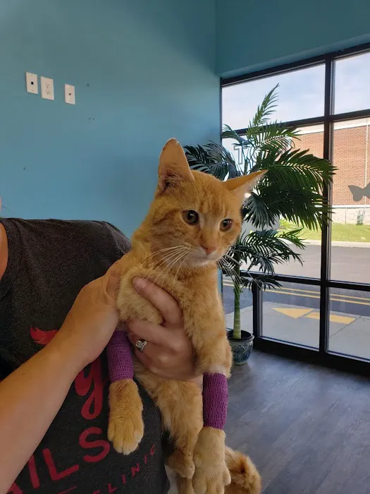 Happy Tails Veterinary Clinic 9