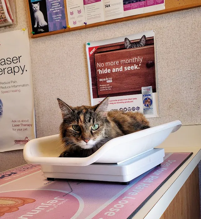 Granville Veterinary Clinic 9