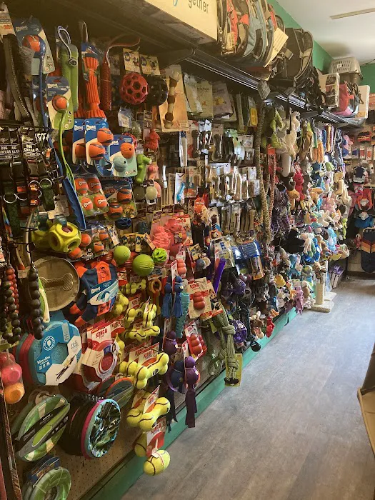 Rocky Mountain Pet Shop 4