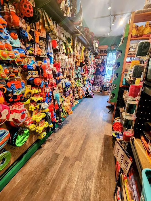 Rocky Mountain Pet Shop 5