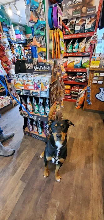 Rocky Mountain Pet Shop 1