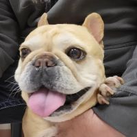 Valley View Veterinary Hospital ico
