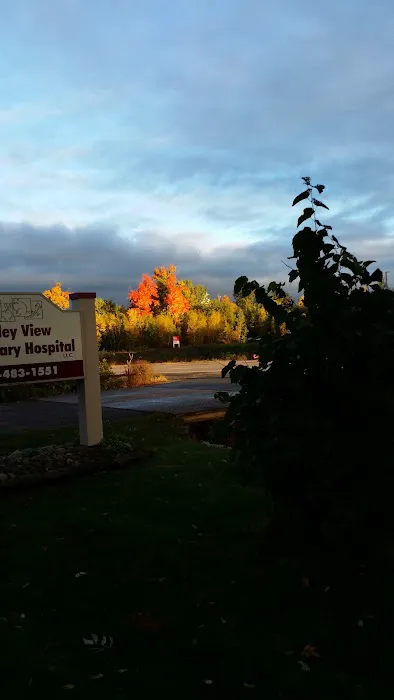 Valley View Veterinary Hospital 4
