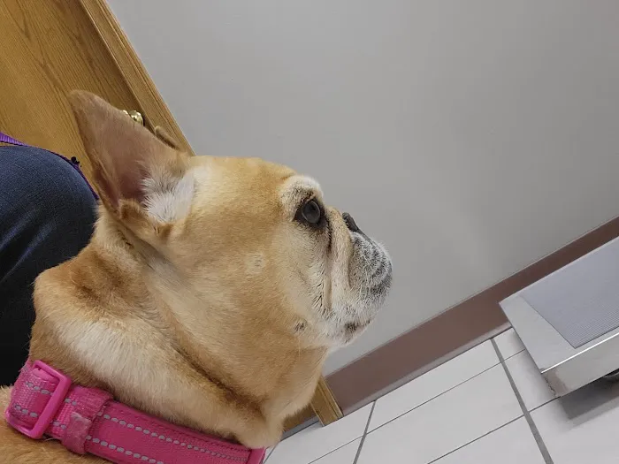 Valley View Veterinary Hospital 2