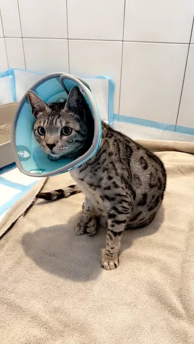 Providence Vet Clinic 4