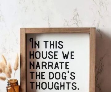 Providence Vet Clinic