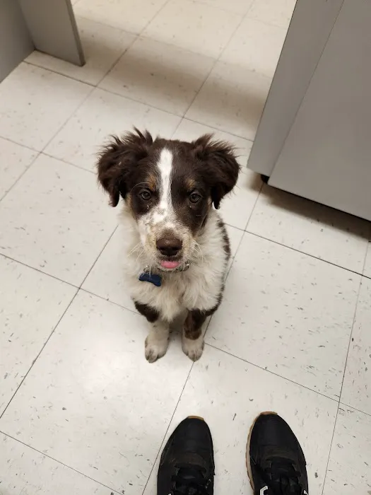 Providence Vet Clinic 6