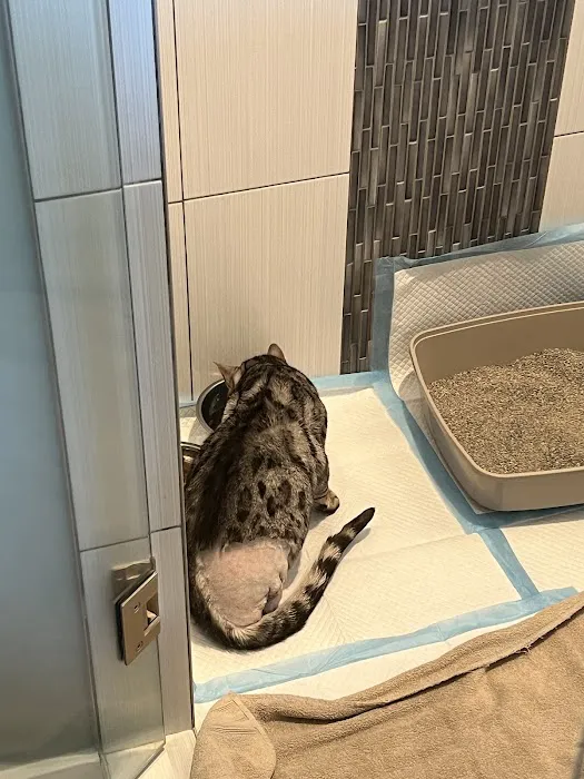 Providence Vet Clinic 5