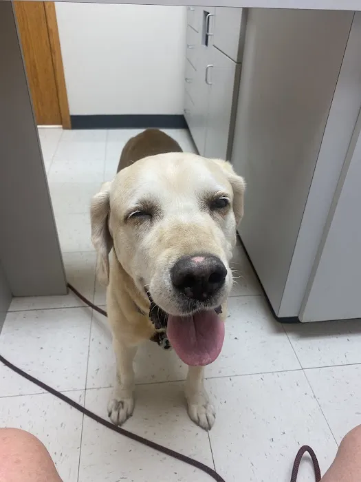 Providence Vet Clinic 8