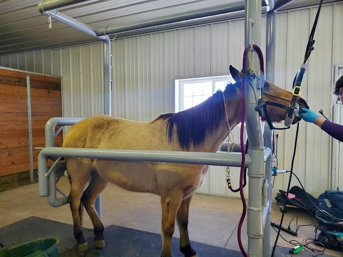 Sunrise Equine Veterinary Services 1