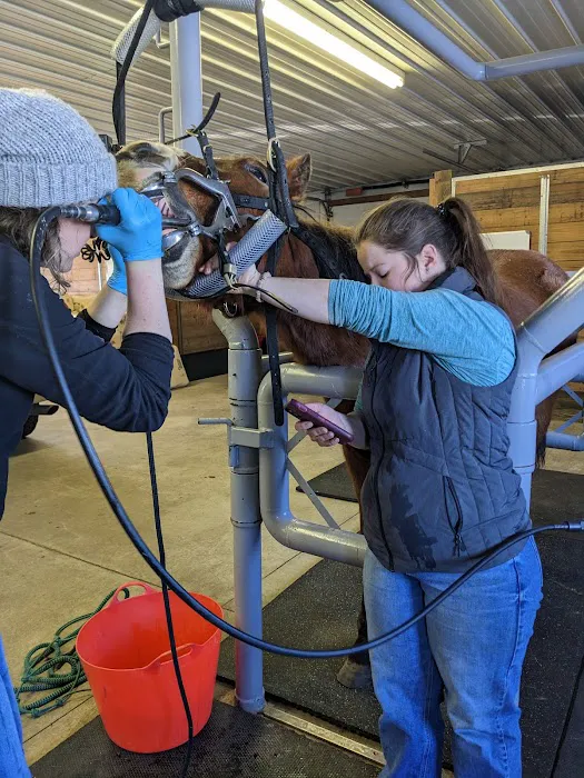 Sunrise Equine Veterinary Services 3