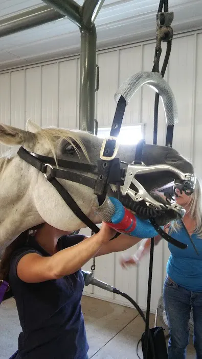 Sunrise Equine Veterinary Services 6
