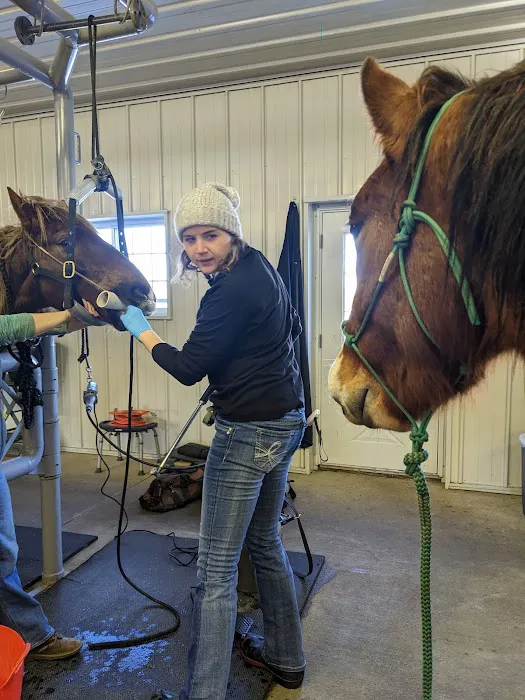 Sunrise Equine Veterinary Services 5
