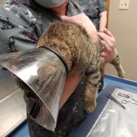 North Branch Veterinary Hospital: Jacobs Doug DVM ico