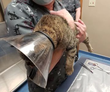 North Branch Veterinary Hospital: Jacobs Doug DVM
