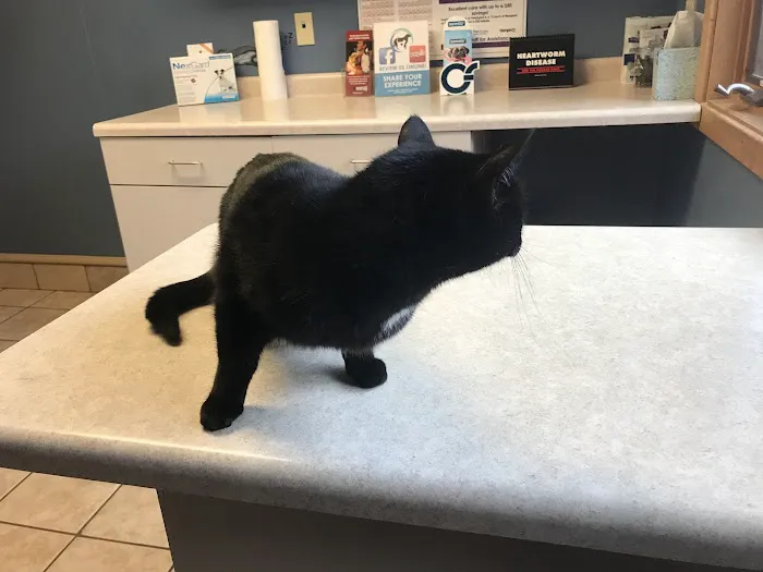 Kinnic Veterinary Service 5