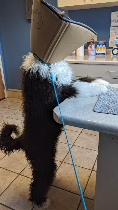 Kinnic Veterinary Service 3