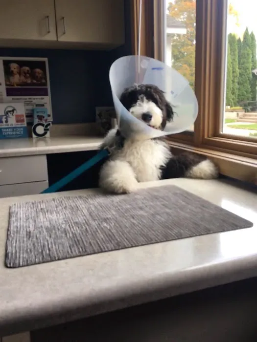 Kinnic Veterinary Service 8