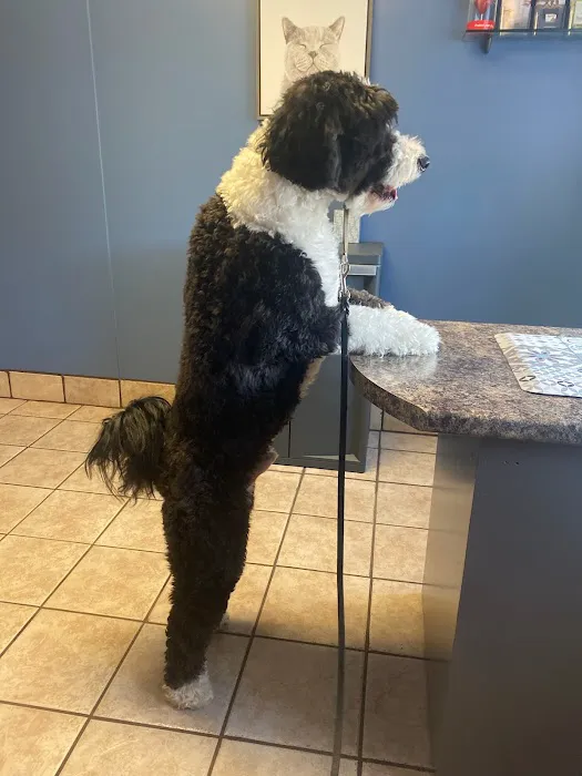 Kinnic Veterinary Service 4