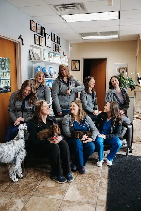 Bobtown Pet Clinic 1