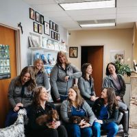 Bobtown Pet Clinic ico
