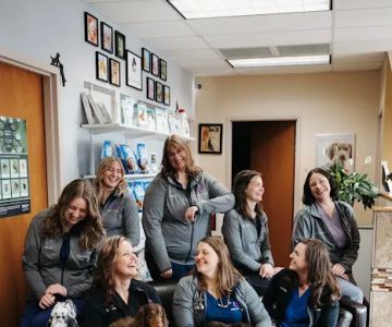Bobtown Pet Clinic