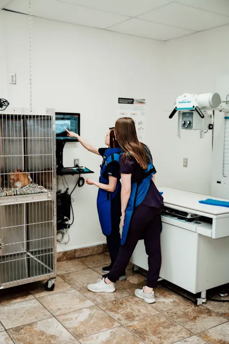 Bobtown Pet Clinic 5